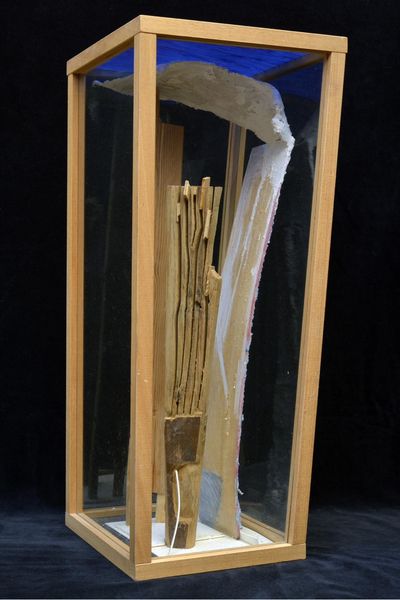 Wood, plaster and blue in glass case