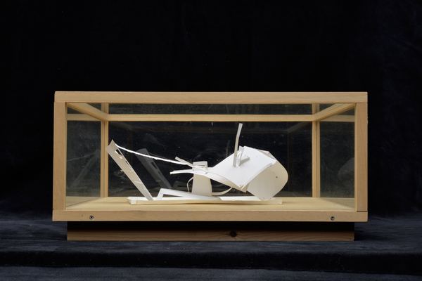 Paper model in glass case