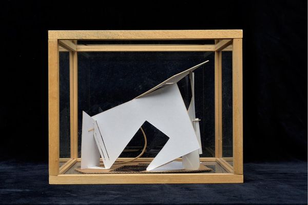 Pressed cardboard model in case