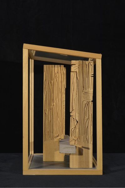 Carved wood and peperino in glass case